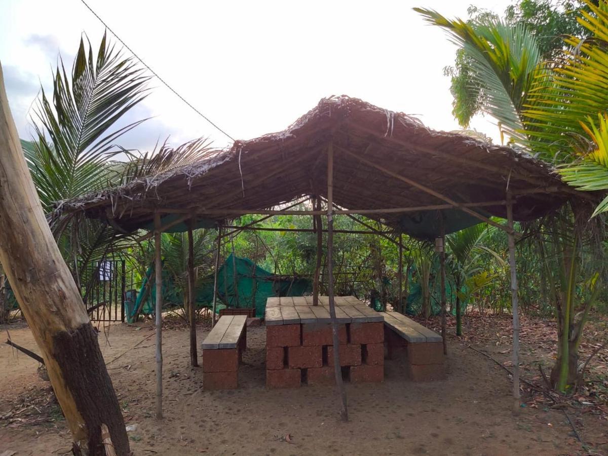 Whistling Waves Beach Resort Ānjarle Екстериор снимка